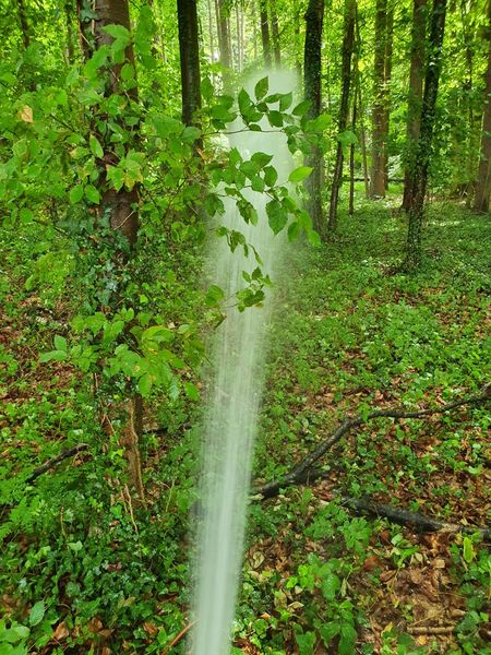 Bewässerungsaktion Osterholz