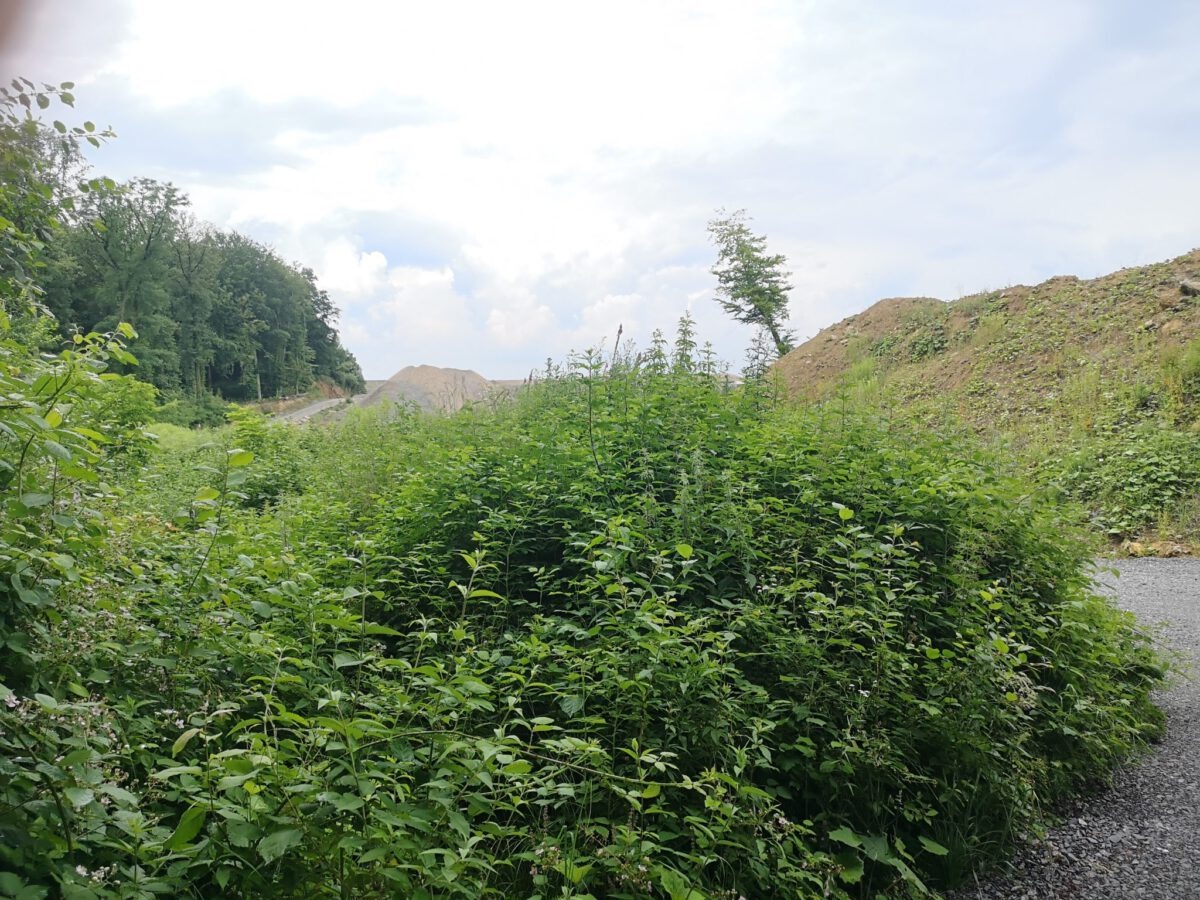 Pressemitteilung Osterholz Bleibt 21. Juli 2021