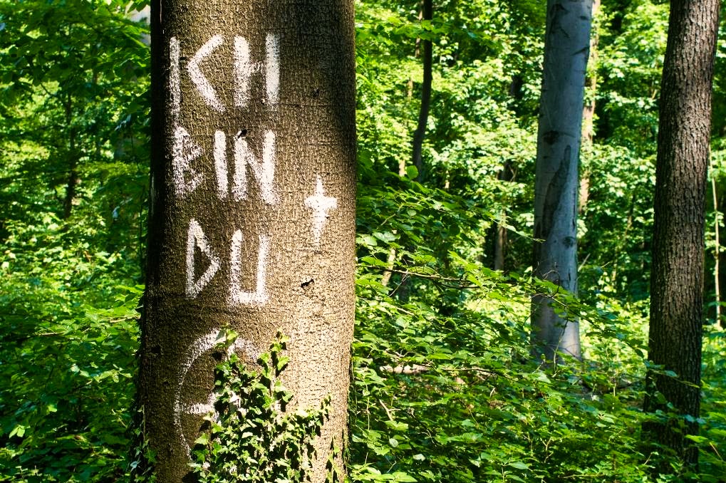 Bürger*inneninitiative Osterholz bleibt: Antrag auf einstweilige Verfügung gegen Rodung beim Verwaltungsgericht Düsseldorf eingereicht – Bescheinigung über die Kampfmittelfreiheit liegt Bezirksregierung Düsseldorf nicht vor