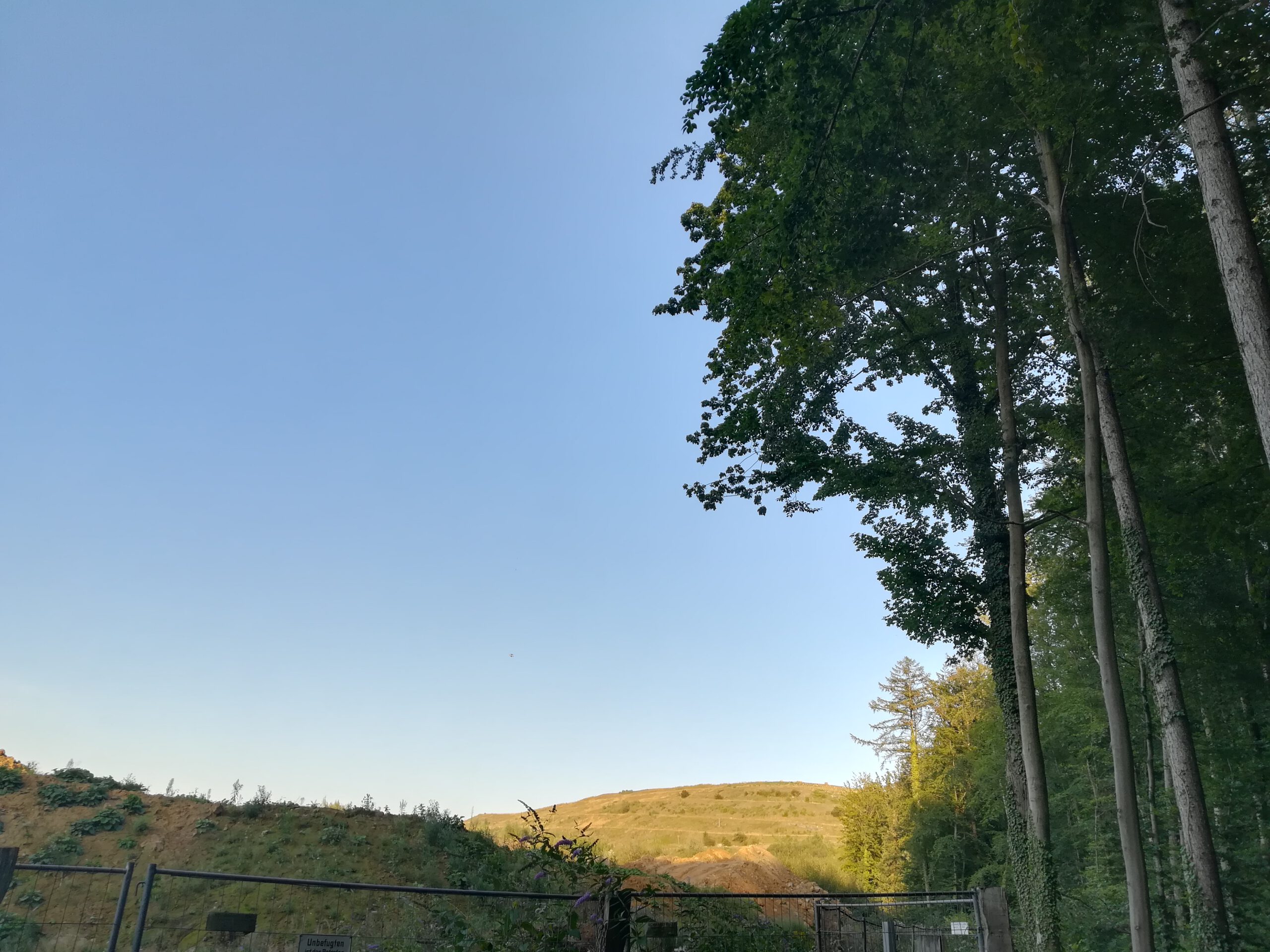 Bäume mit Halde im Osterholz Wuppertal